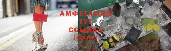 метадон Алексин